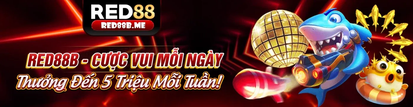 Quản lý vốn cá cược hiệu quả và có trách nhiệm